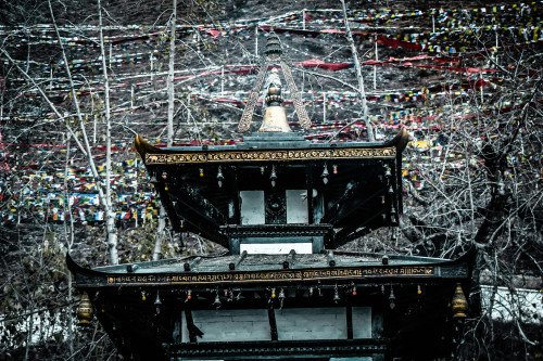 Muktinath Darshan Tour