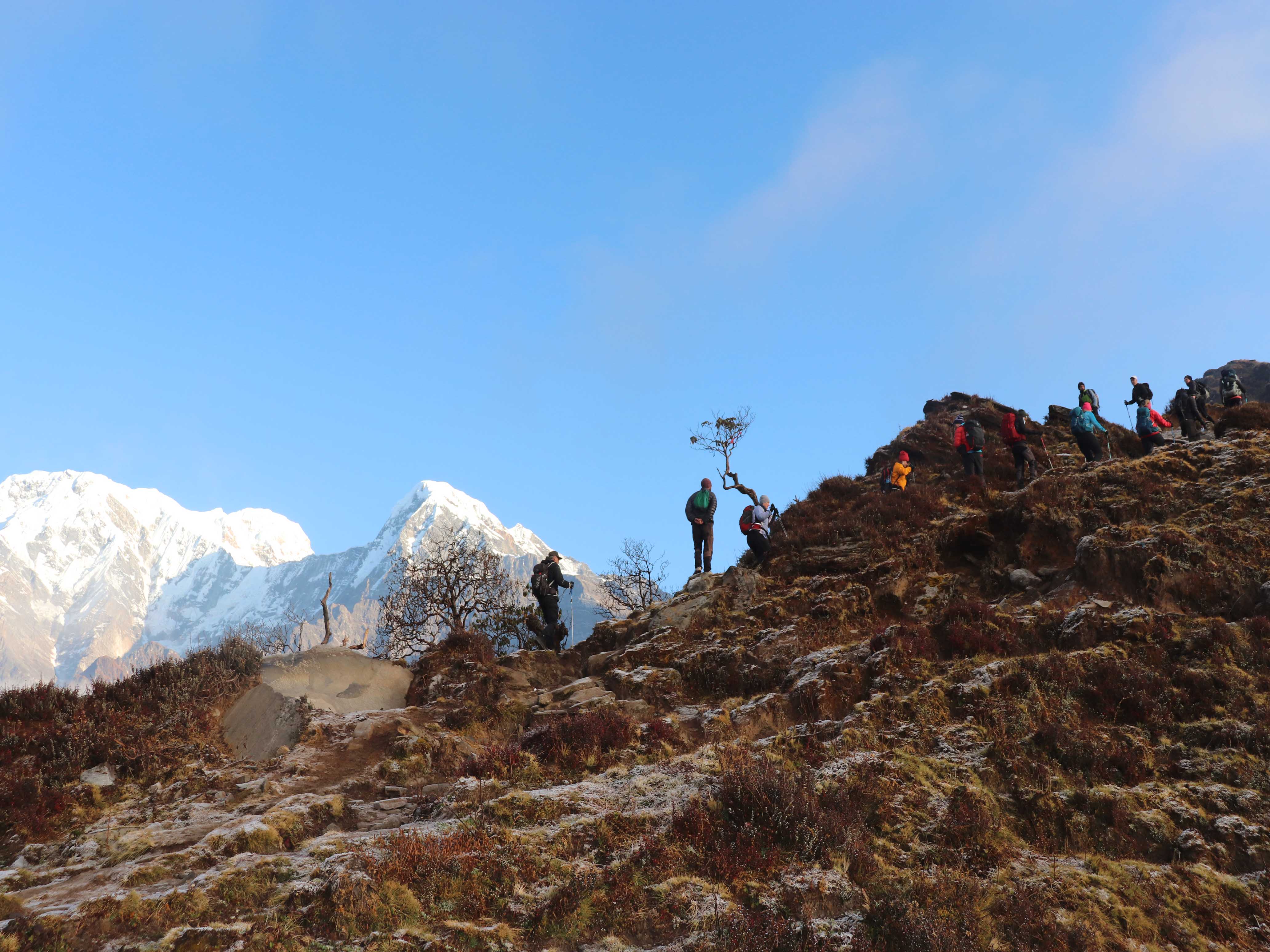 A Complete Guide to Mardi Himal Trek