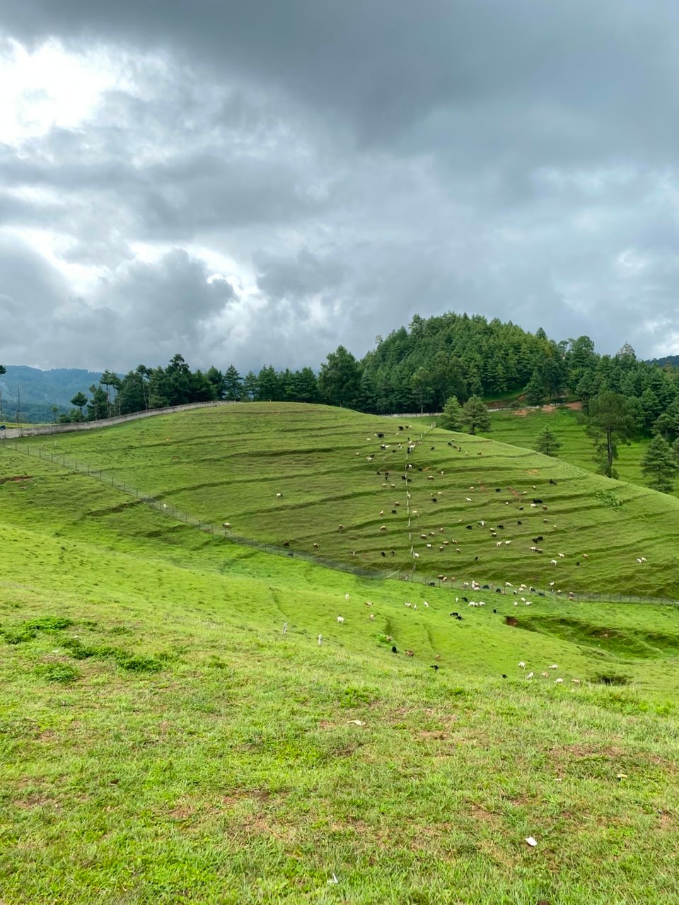 Chitlang Hiking Tour | Scenic Trail Near Kathmandu